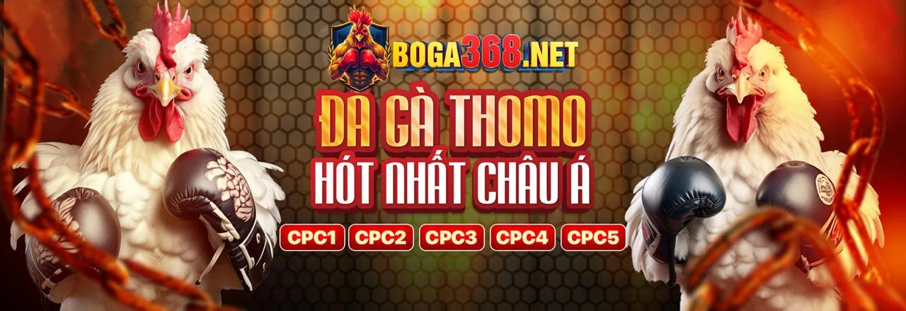 Đá gà kịch tính tại KC88 Code